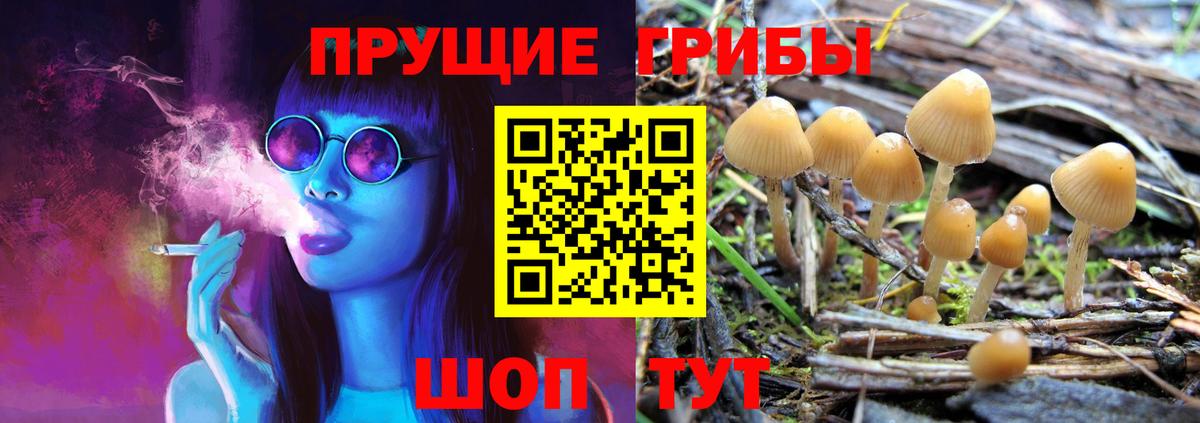 Галлюциногенные грибы MAGIC MUSHROOMS Вышний Волочёк
